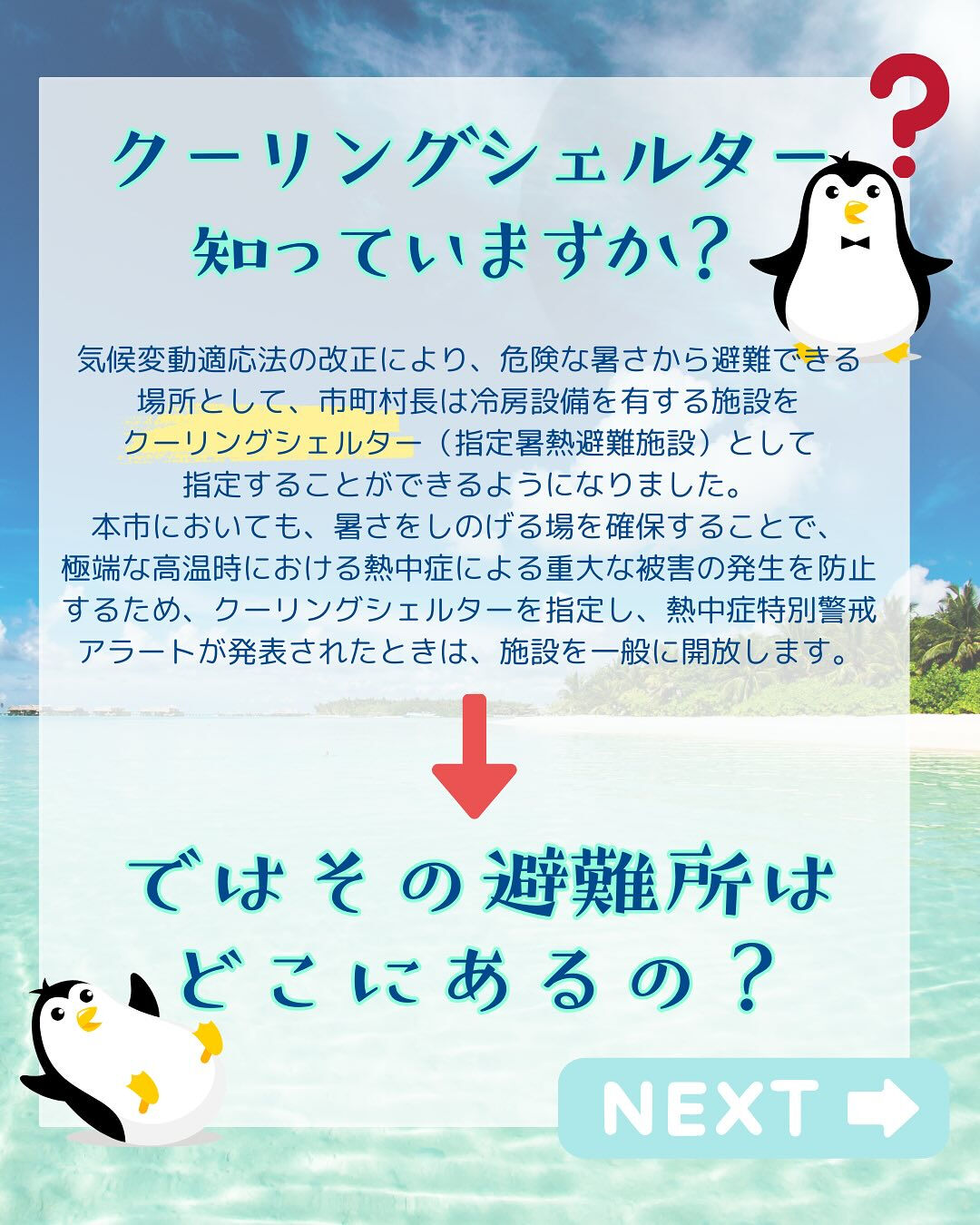 こんにちは🌞