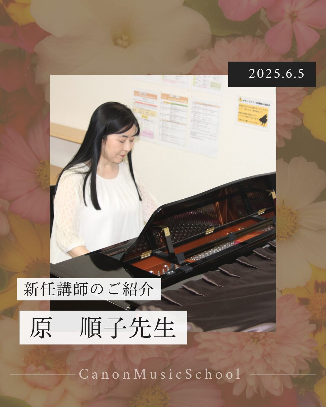 こんにちは(*^^*)