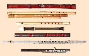 夏の楽器♫
