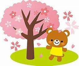 サンザシについて♪